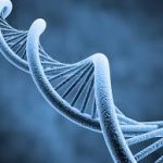 dna
